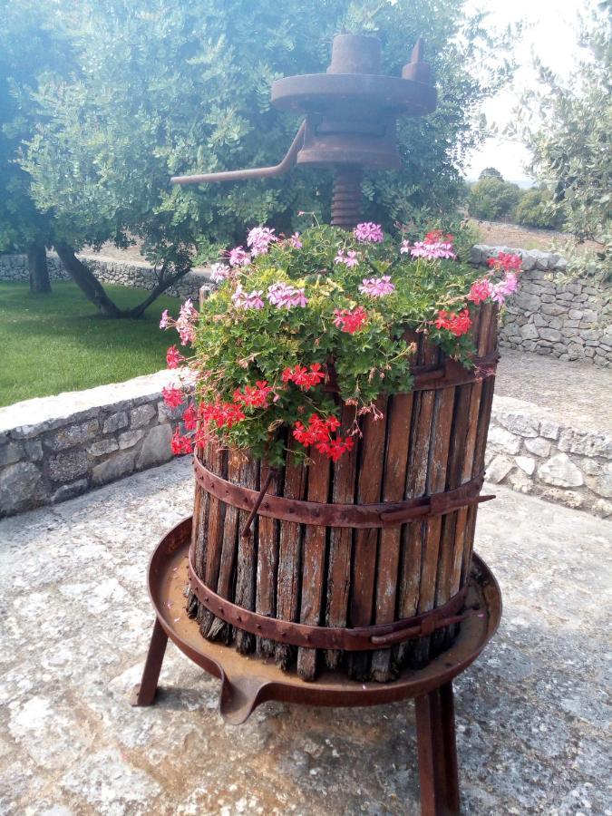 Masseria Cappuccini أوستوني المظهر الخارجي الصورة
